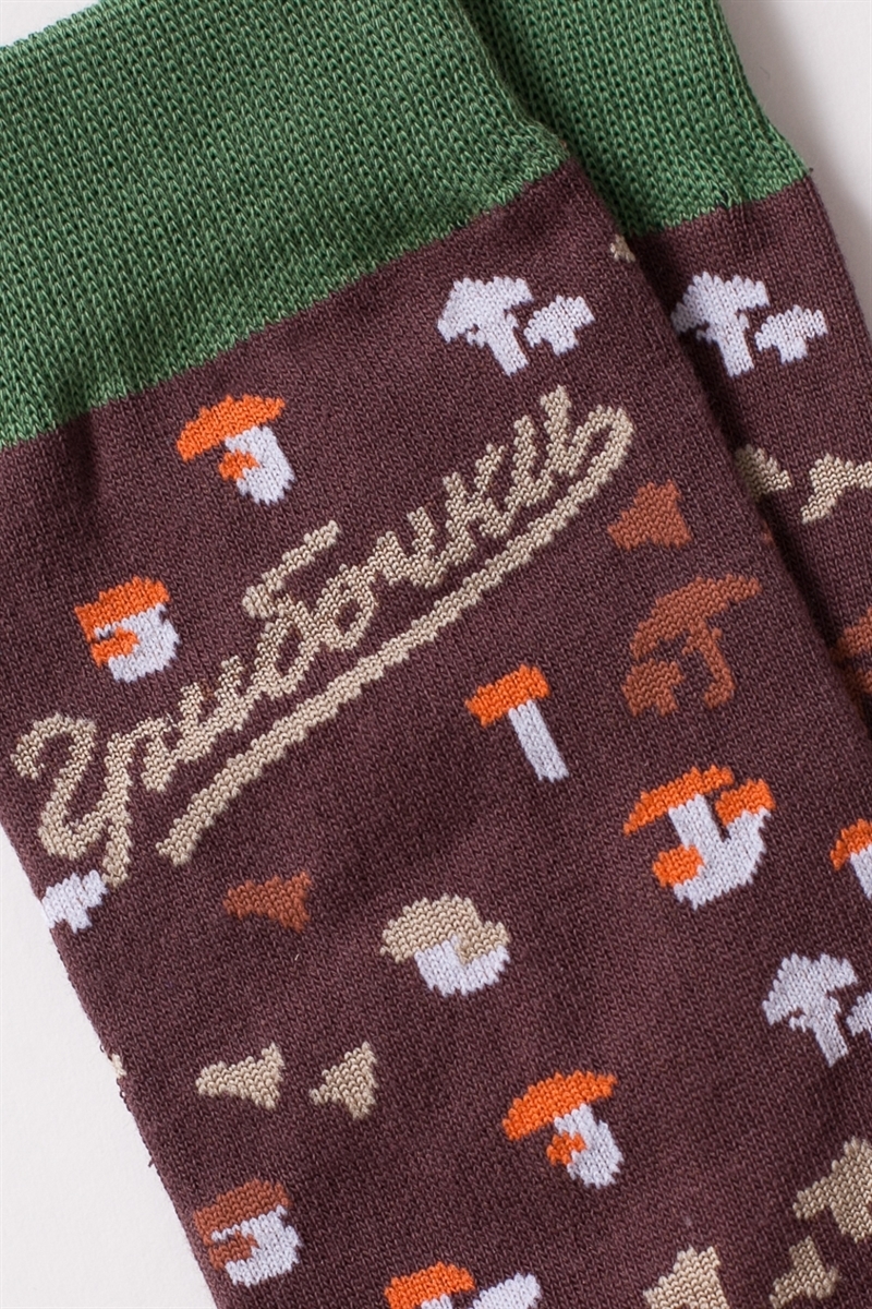 Носки ЗАПОРОЖЕЦ Грибочки - фото 21258