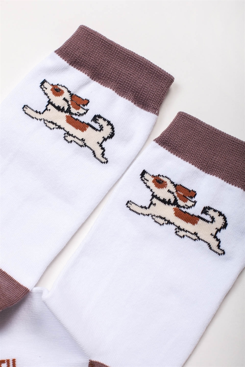 Носки ЗАПОРОЖЕЦ Собачка Белый 41-45 - фото 21496