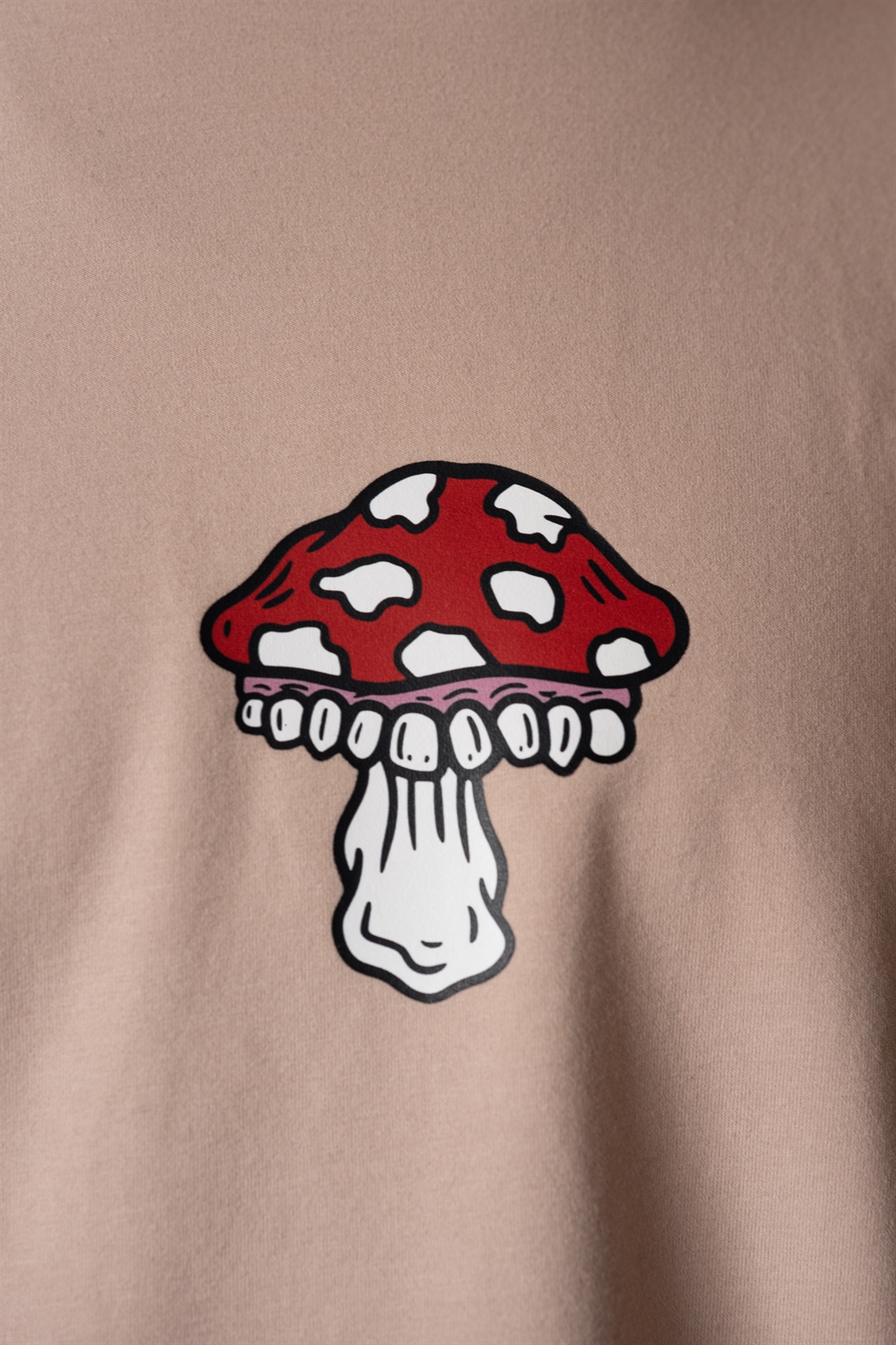 Футболка Бордшоп#1 Мухомор бежевая - фото 40736