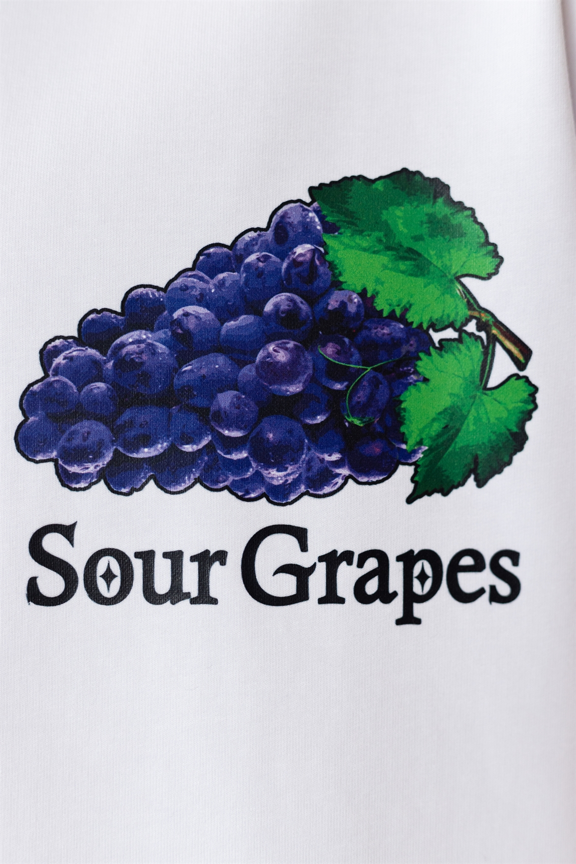 Лонгслив БОРДШОП#1 Sour Grapes белый - фото 41580