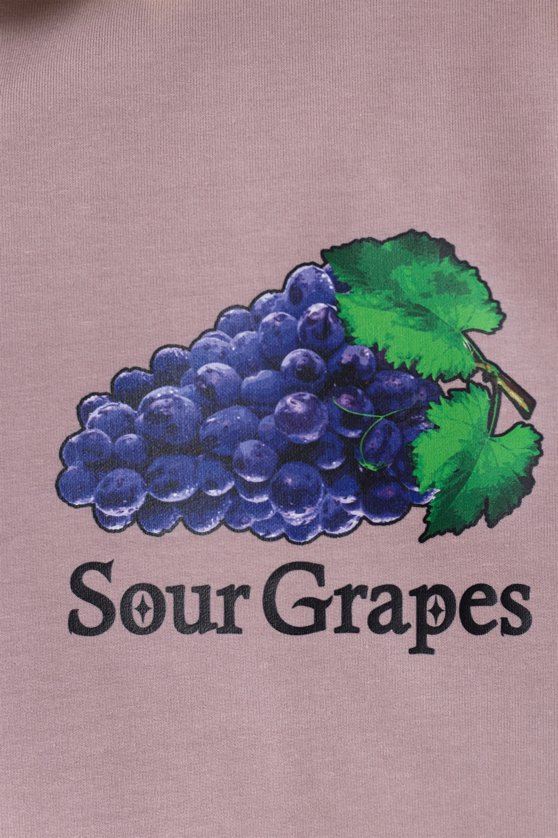 Футболка БОРДШОП#1 Sour Grapes фиолетовая пудра - фото 41606
