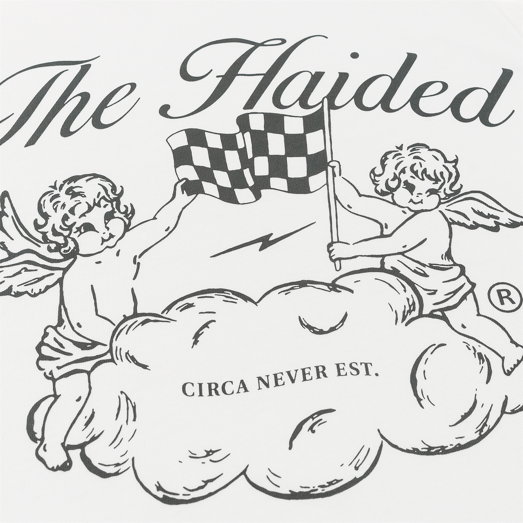 Футболка Haided CHECKERED FLAG RLXD HW TEE ecru - фото 46267