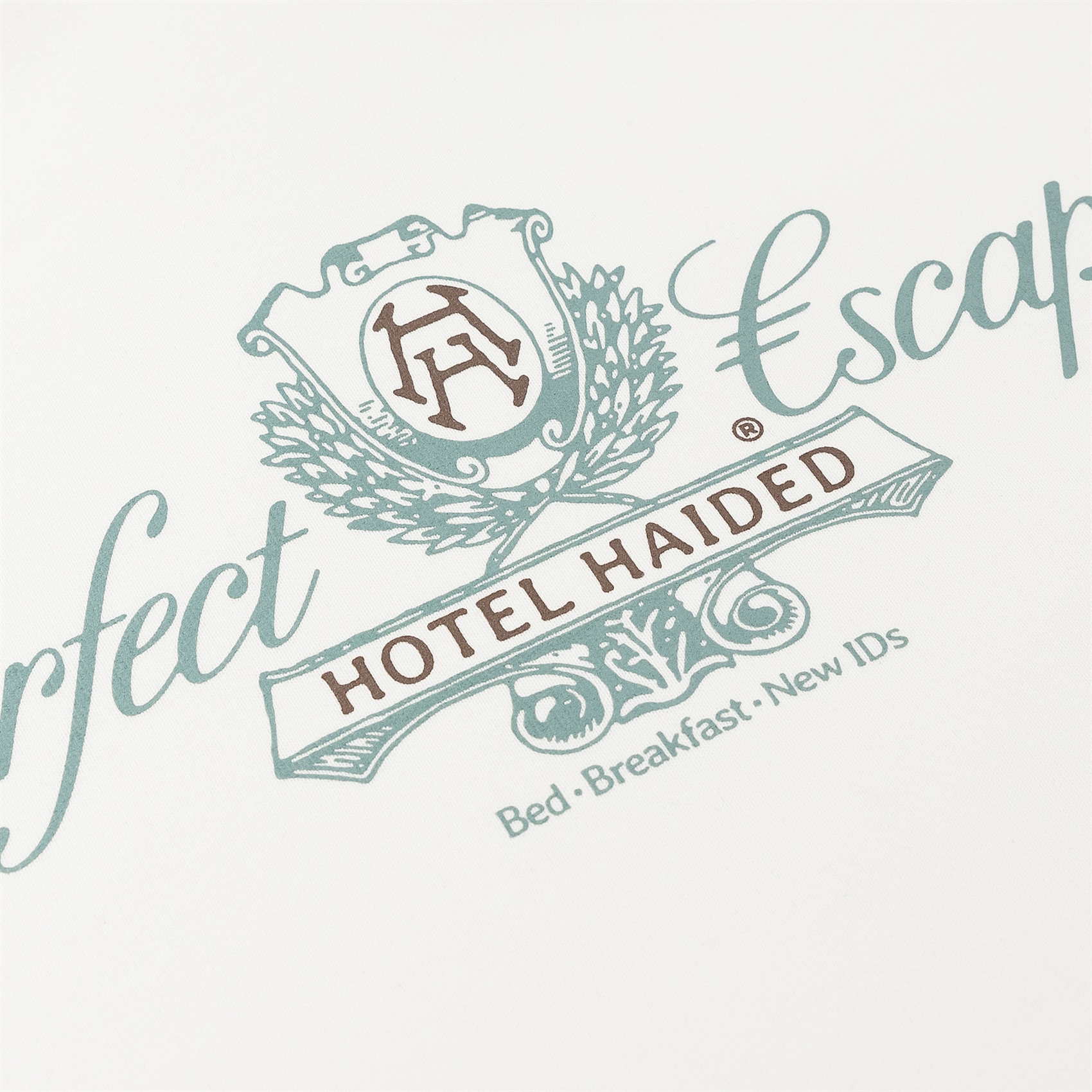 Худи Haided PERFECT ESCAPE RLXD HW HOD ecru - фото 47641