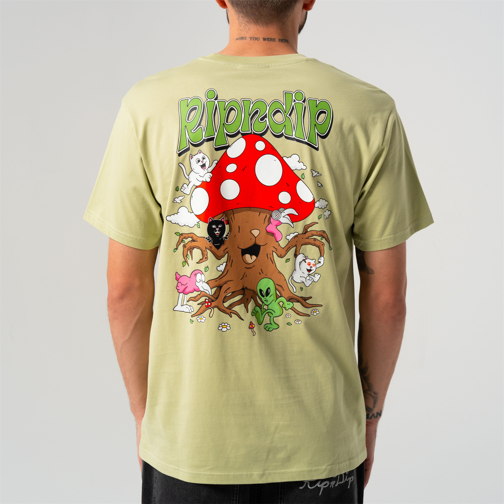 Футболка RIPNDIP PLAYGROUND TEE (LIGHT MOSS) - фото 48780