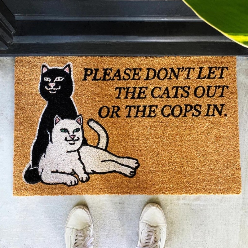 Коврик RIPNDIP DON'T LET THE COPS IN RUG (BROWN) - фото 48887