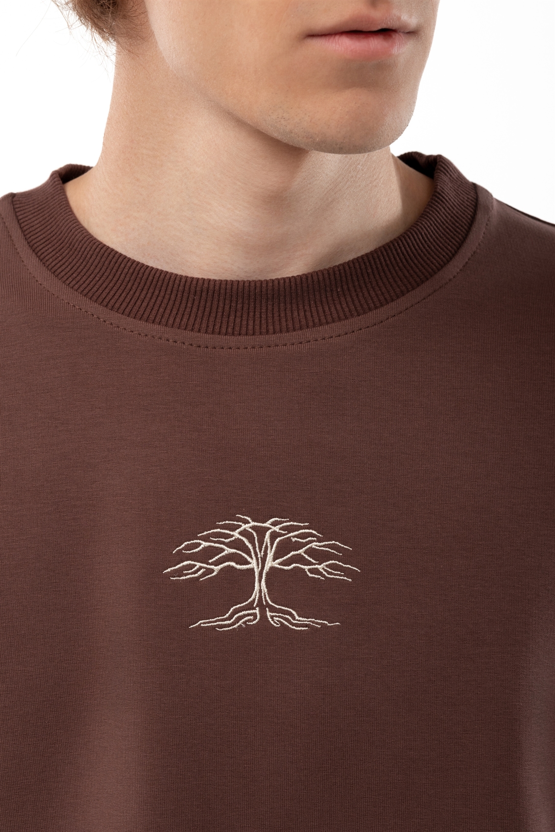 Футболка БОРДШОП#1 Tree коричневый - фото 49404