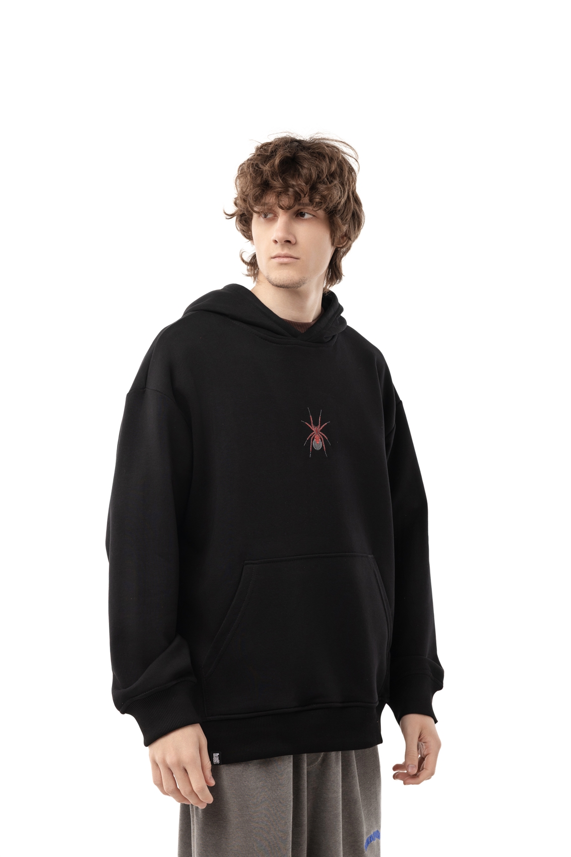 Худи Бордшоп1 Арахнофобия черный - фото 50055