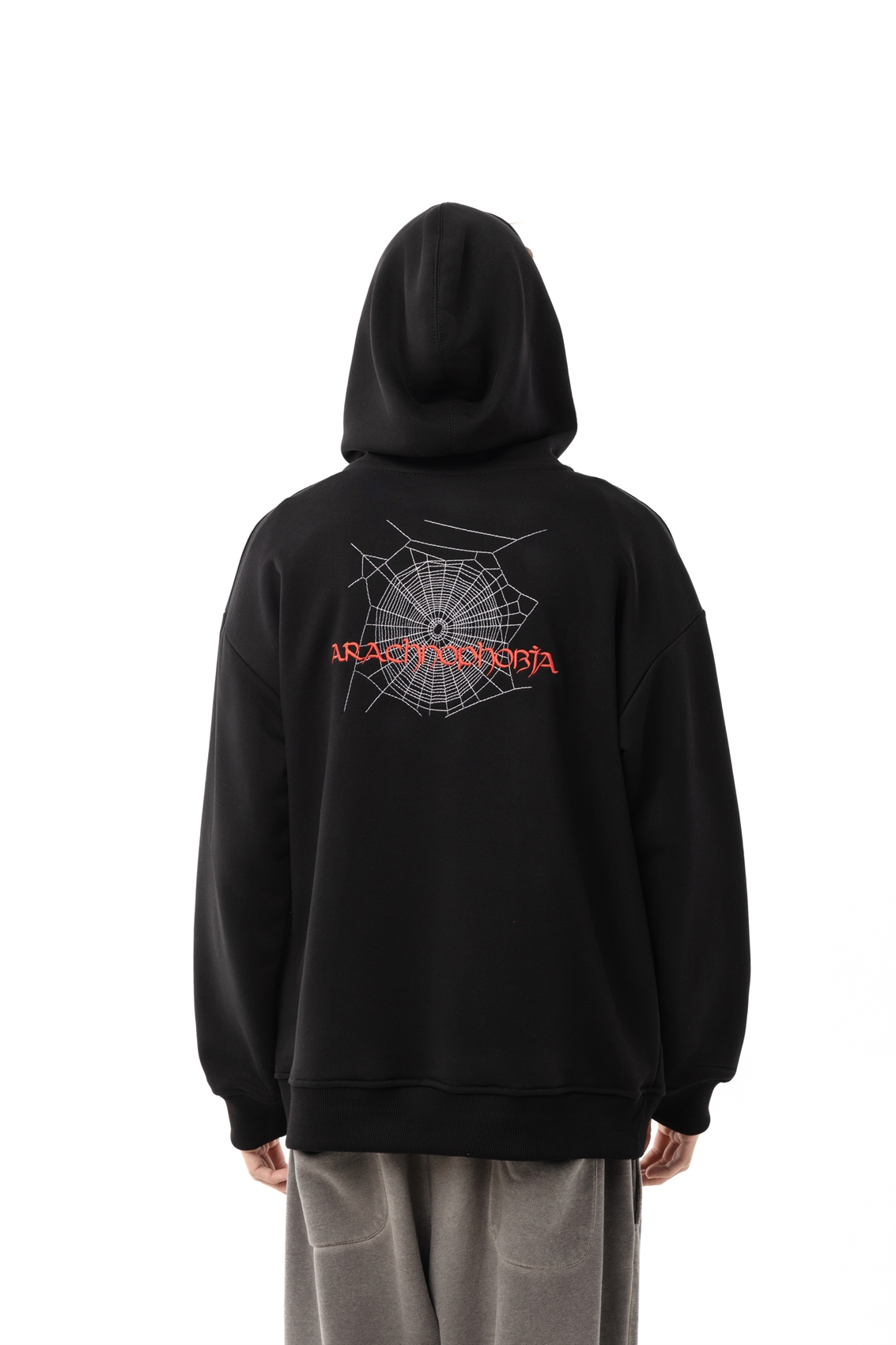 Худи Бордшоп1 Арахнофобия черный - фото 50058