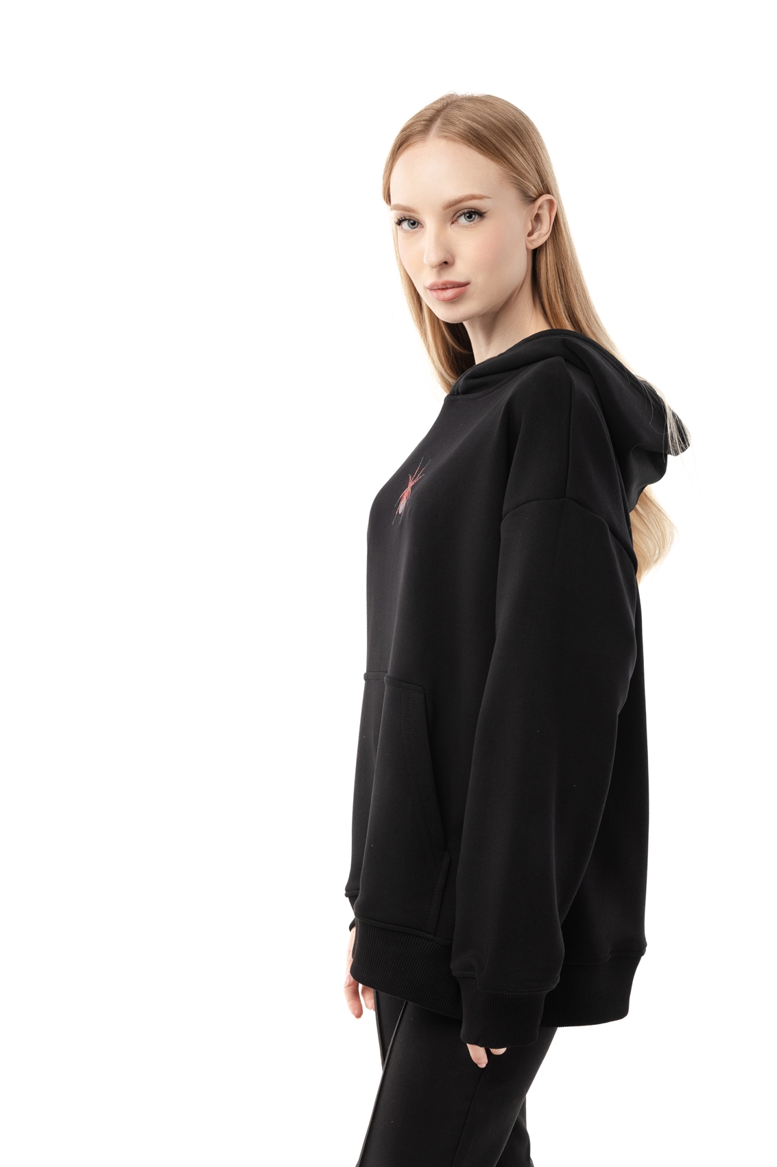 Худи Бордшоп1 Арахнофобия черный - фото 50062