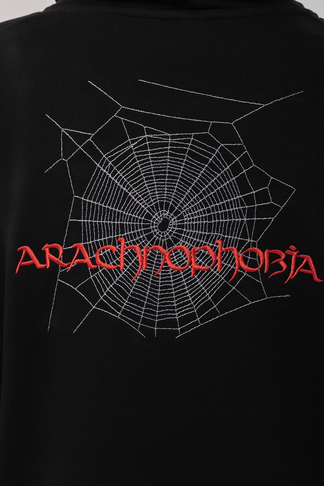 Худи Бордшоп1 Арахнофобия черный - фото 50069