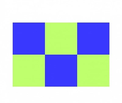 Стикер Police шашки / салатовый синий 8x12 см.
