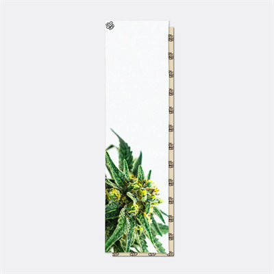 Шкурка для скейтборда Dip Grip White Grass