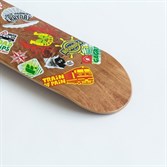 Дека Footwork CLASSIC SOUTH CHILL (Размер 8.25 x 31.75 ) - фото 14075