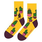 Носки St. Friday socks Оранжерея №16 - фото 16566