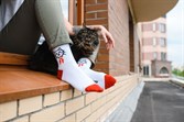 Носки St. Friday socks Всегда котов (спорт) белый - фото 23529