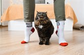 Носки St. Friday socks Всегда котов (спорт) белый - фото 23530