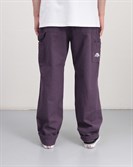 Брюки ANTEATER Workpants-Violet - фото 38025