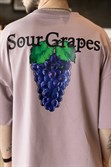 Футболка БОРДШОП#1 Sour Grapes фиолетовая пудра - фото 41605