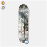 Дека Footwork PROGRESS TUSHEV PALMS (Размер 8 x 31.5) - фото 42150