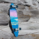 Лонгборд Eastcoast Malibu 37" x 9.75" - фото 48476