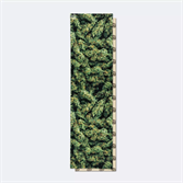 Шкурка для скейтборда Dip Grip Greens - фото 48613