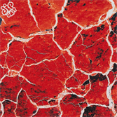 Шкурка для скейтборда Dip Grip Lava - фото 48616