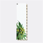 Шкурка для скейтборда Dip Grip White Grass - фото 48646