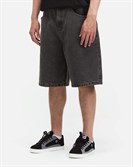 Шорты ANTEATER BaggyShorts-Grey - фото 53262