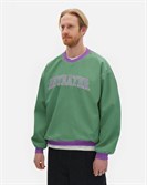 Толстовка ANTEATER Jersey-NLN-Green - фото 53289