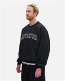Толстовка ANTEATER Jersey-NLN-Black - фото 53297